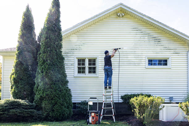 Best Gutter Cleaning in Pioneer, OH